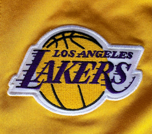 Vintage Los Angeles Lakers Nike Warm Up Jacket