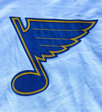 Load image into Gallery viewer, Rob Ramage St. Louis Blue Mitchell &amp; Ness Throwback Jersey
